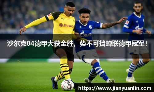 沙尔克04德甲大获全胜，势不可挡蝉联德甲冠军！